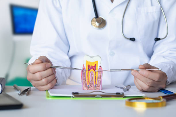 Best Mobile Emergency Dentist in Red Hill, PA